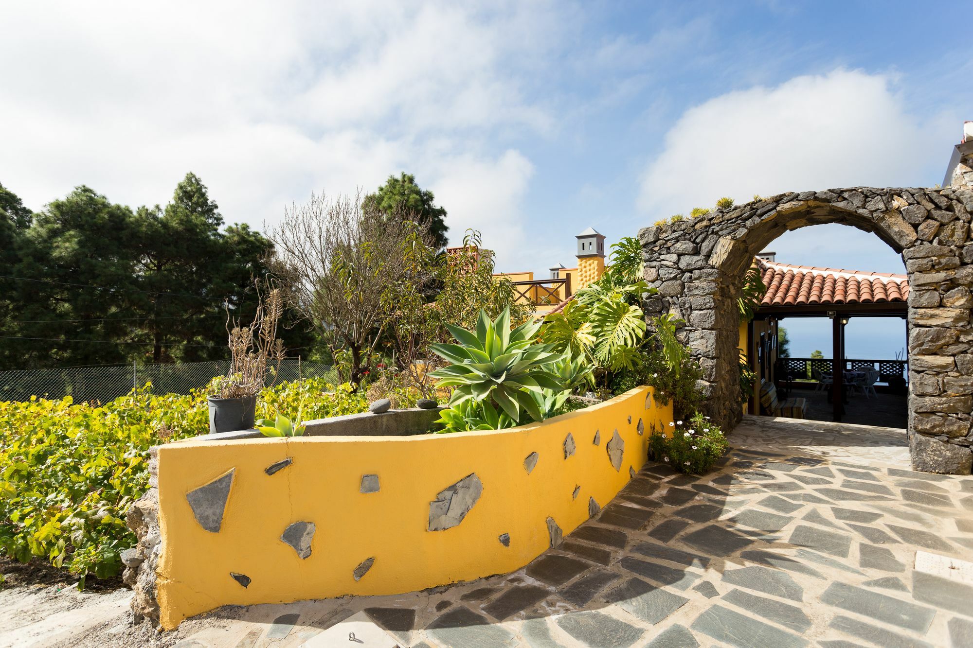 Finca Casa Yaya 伊科德·德·洛斯·维诺斯 外观 照片