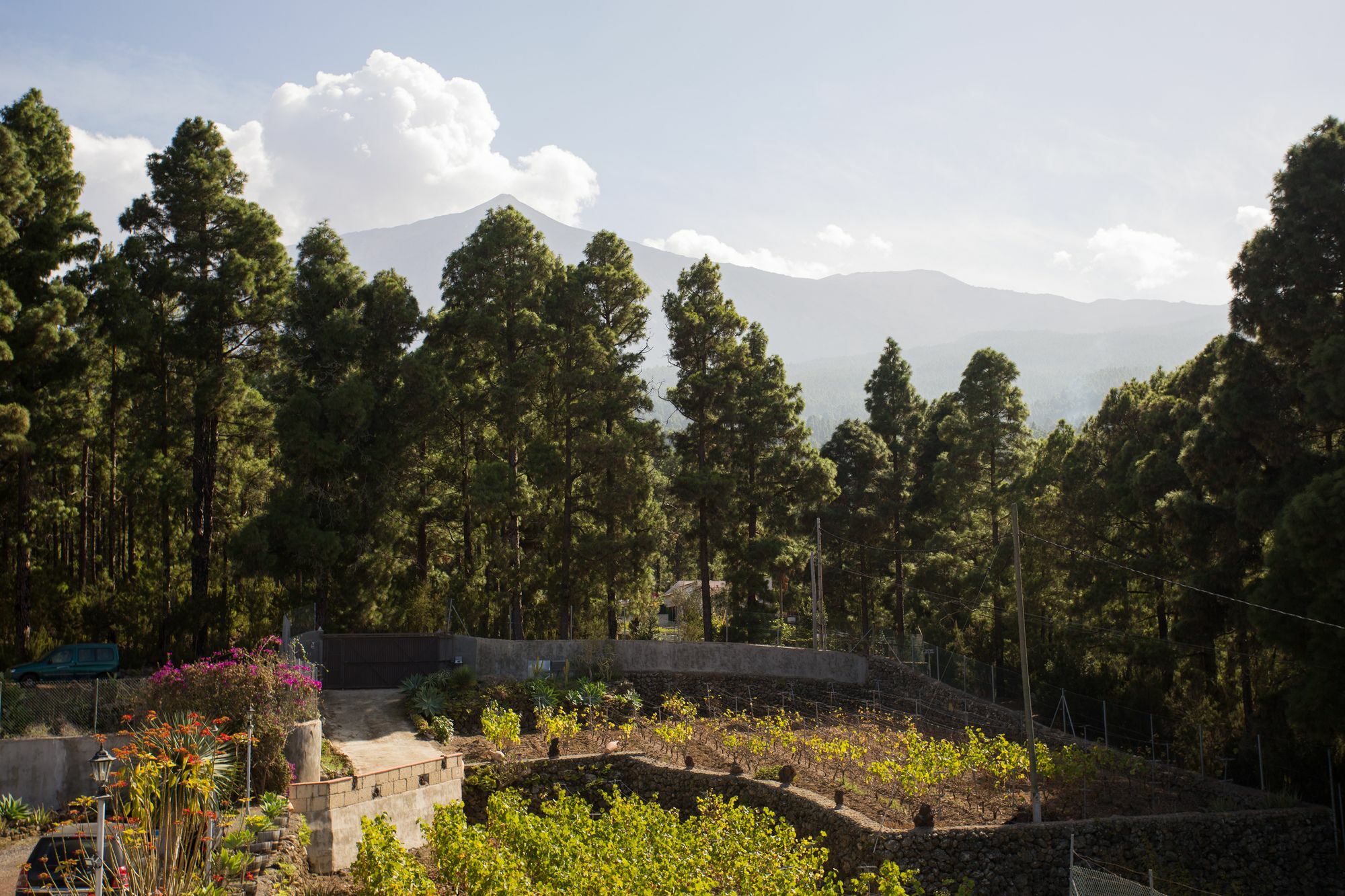 Finca Casa Yaya 伊科德·德·洛斯·维诺斯 外观 照片