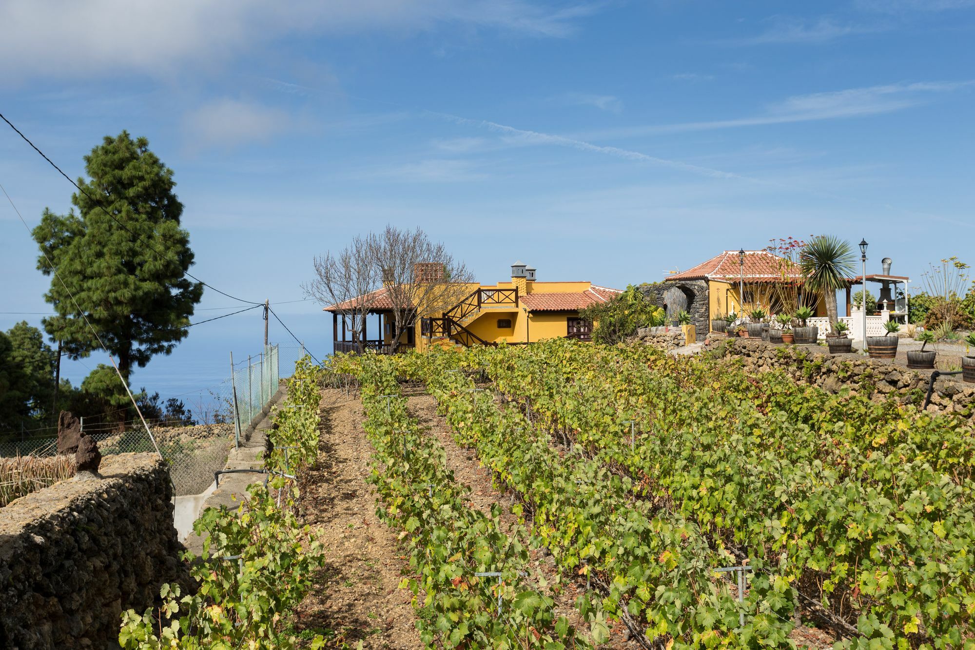 Finca Casa Yaya 伊科德·德·洛斯·维诺斯 外观 照片